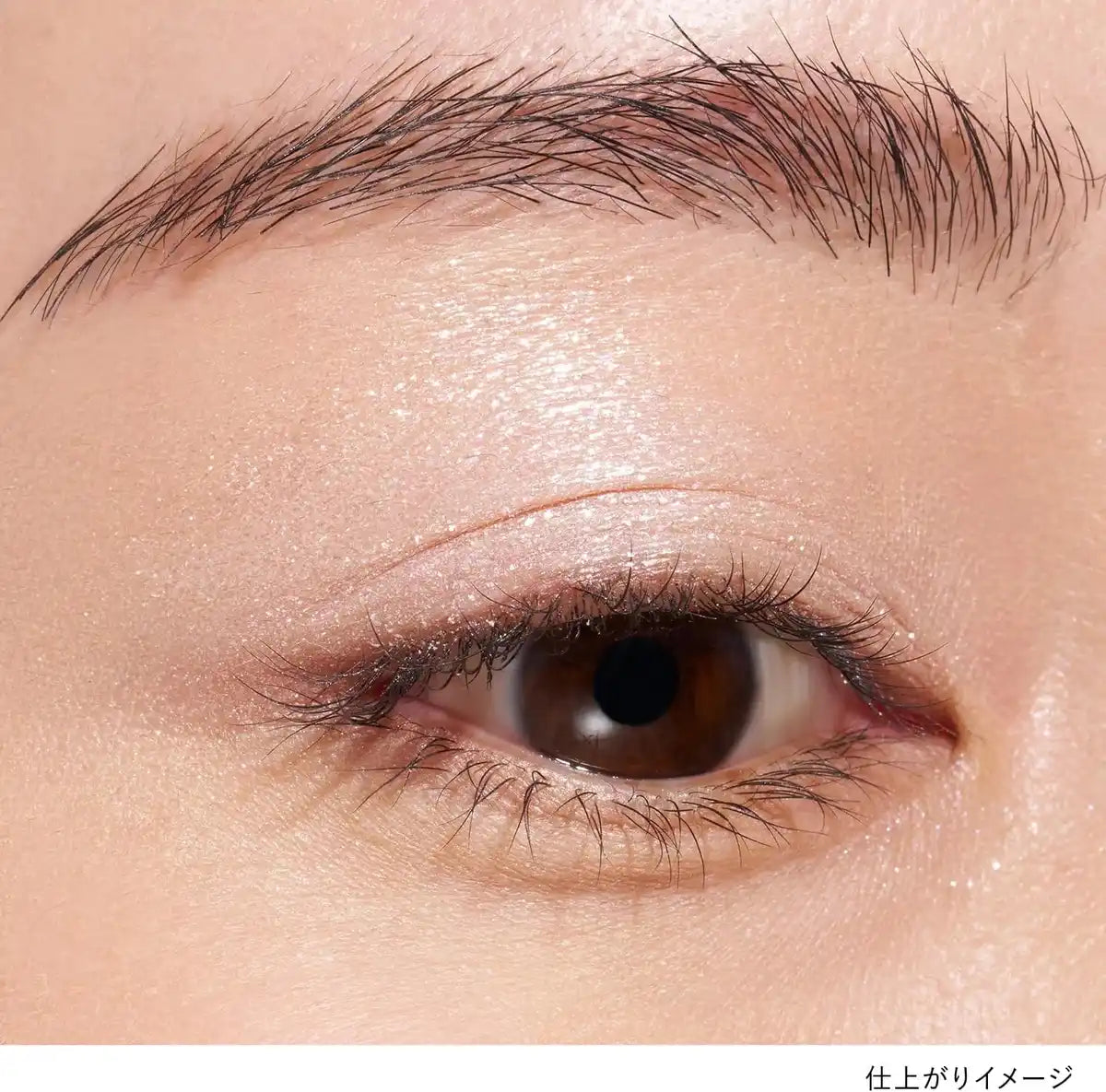 Lunasol Mono Eyeshadow EX12 White Crystal Transparent Shade