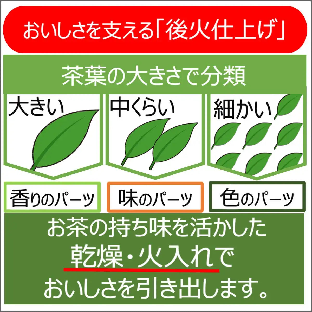 Oi Ocha Green Tea With Young Stems Sencha 500G | Refreshing Itoen Brew