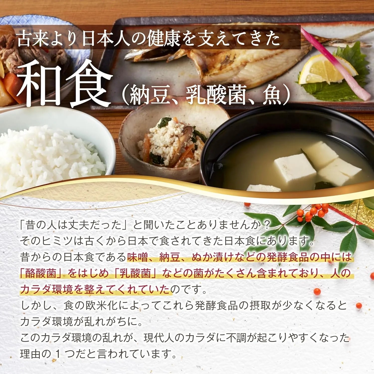 Bunbun Natto Kinase Supplement with DHA EPA and Lactobacillus Support