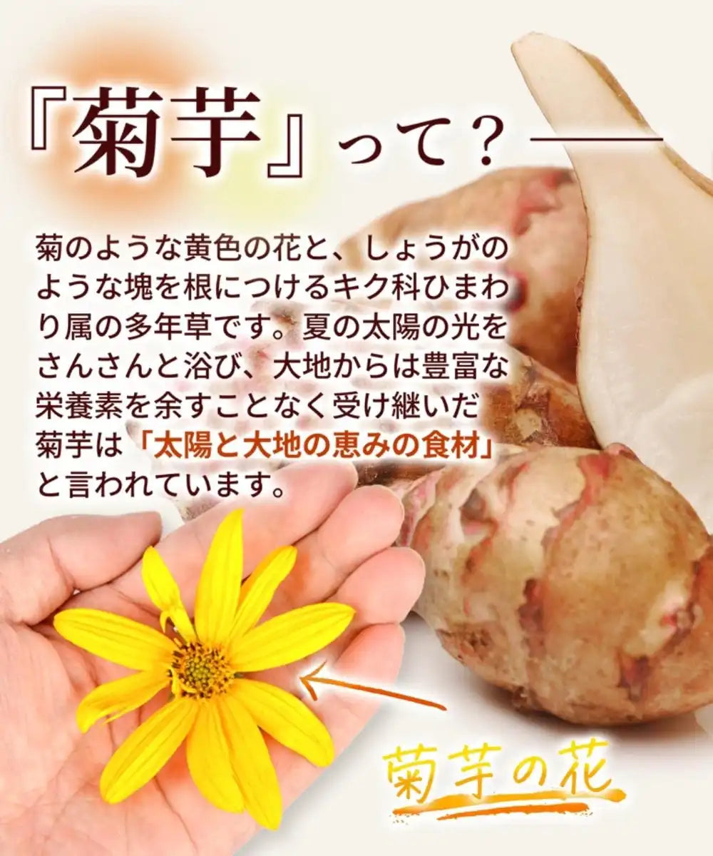 Honjien Tea Kikuimocha Tea Bag 2.5g x 30 Bags - Japanese Non-Caffeine Tea - Healthy Tea