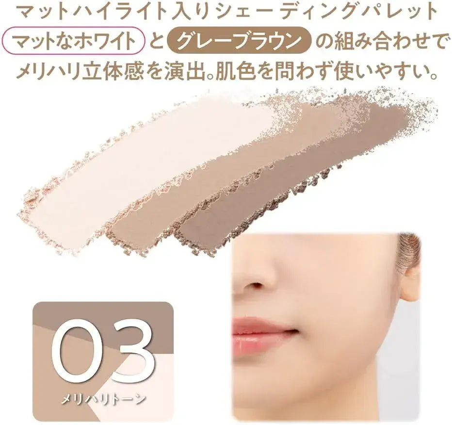 Cezanne Blend Color Shading Highlight Tone Eyeshadow Palette