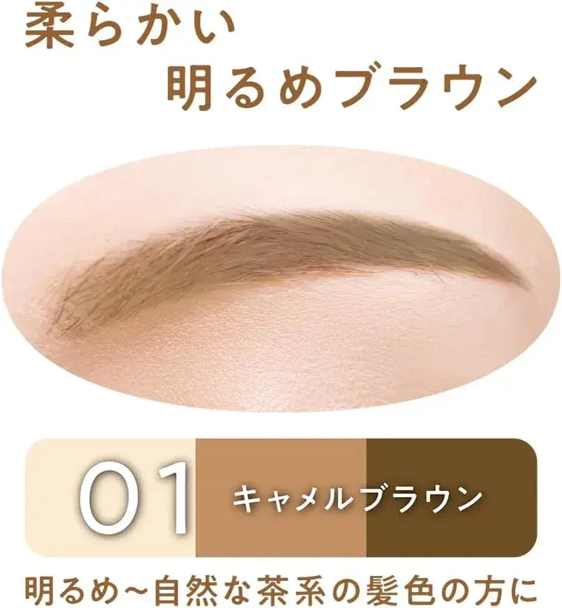 Cezanne Eyebrow and Shade Soft 3D Powder Makeup