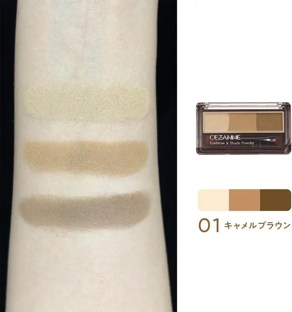 Cezanne Eyebrow and Shade Soft 3D Powder Makeup