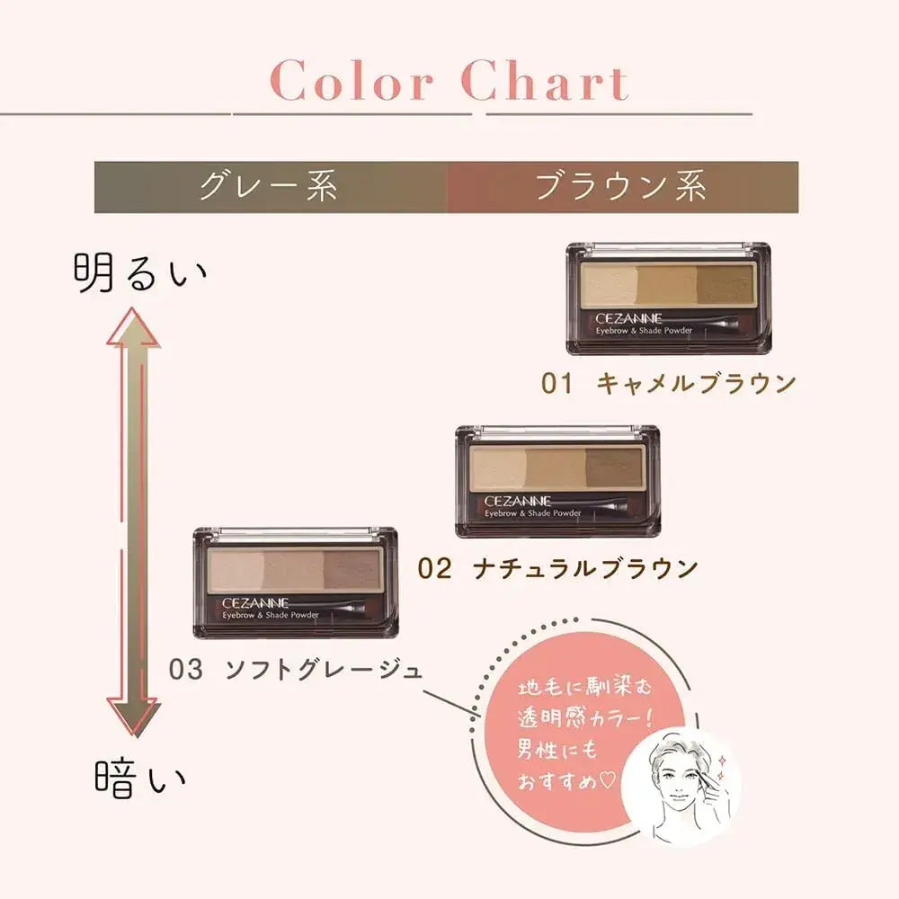 Cezanne Eyebrow and Shade Soft 3D Powder Makeup
