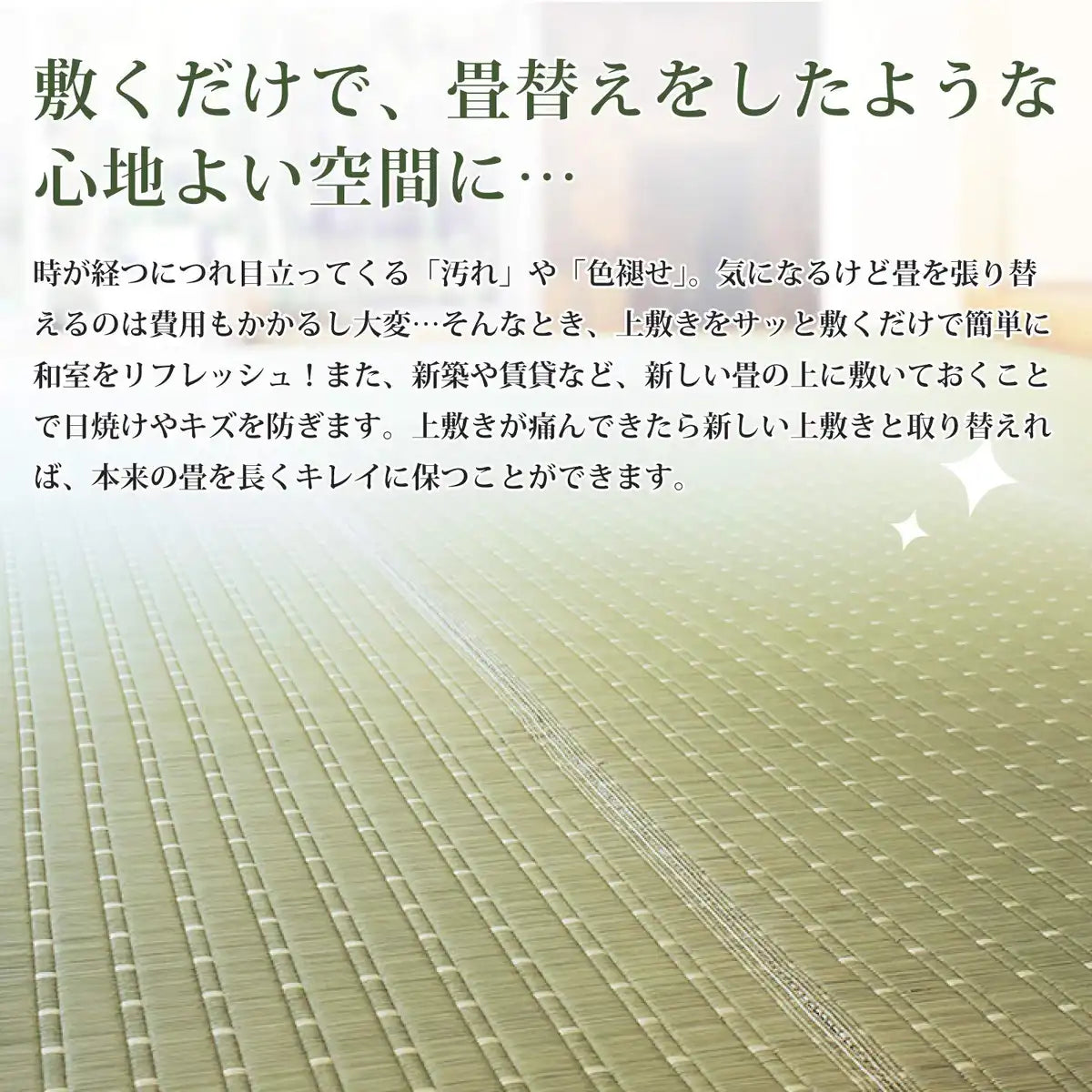 Hagiwara Rush Natural Edoma 2 Tatami Domestic Rush Flower Mat Carpet Japan Kiccho 81850620