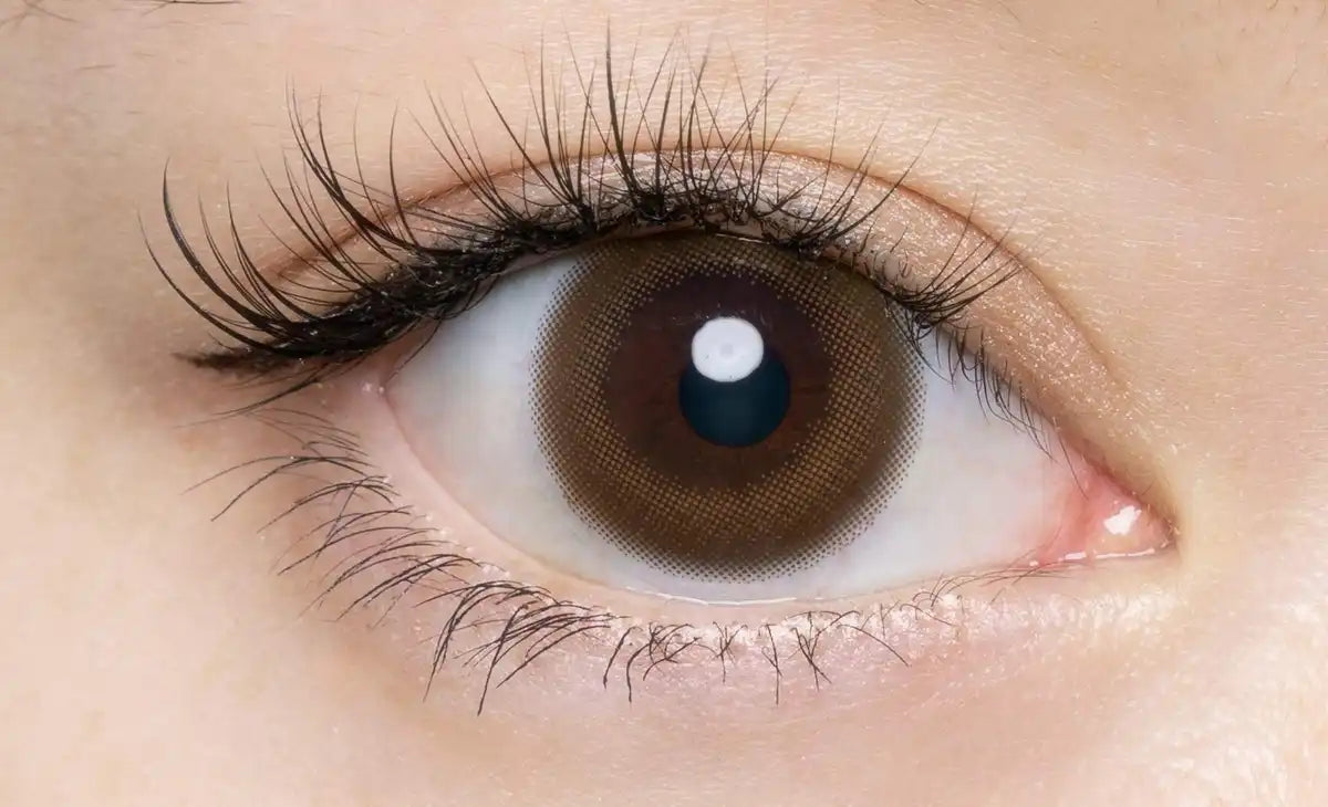 Flanmy Japan 1Day Power -03.75 Kinacolor Contact Lenses (30 Pieces Per Box)