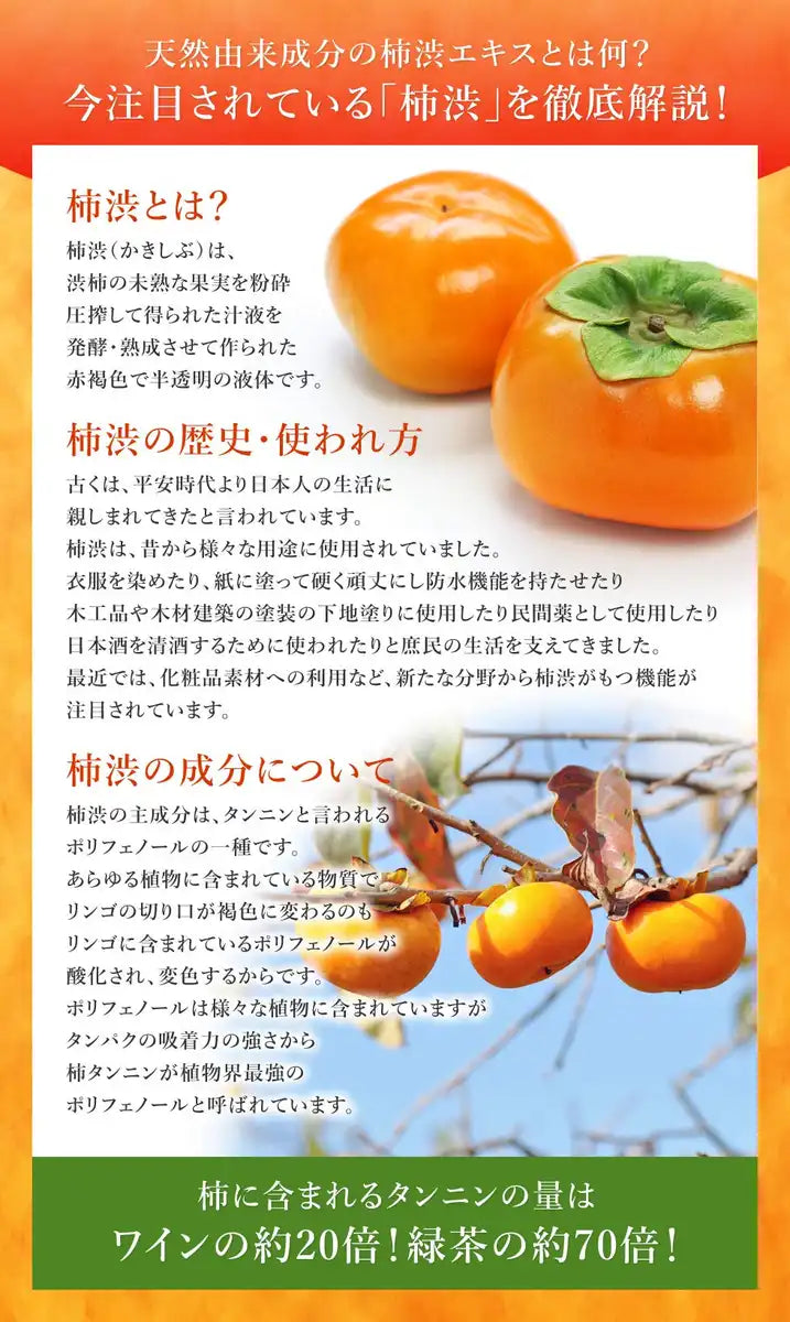 Kumano Oil Medicated Persimmon Juice Body Soap 600ml