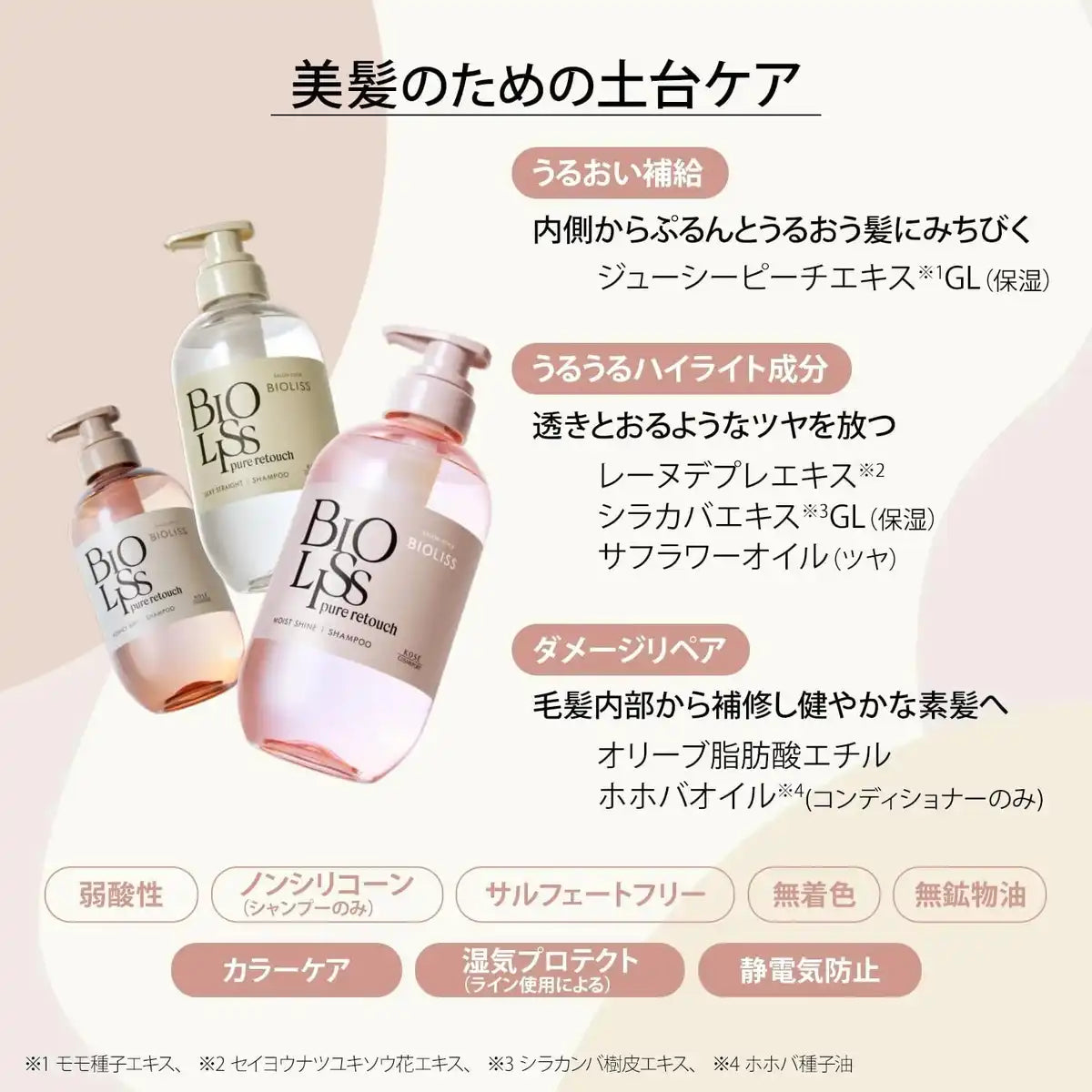 Salon Style Violis Pure Retouch Limited Design Shampoo Treatment Set