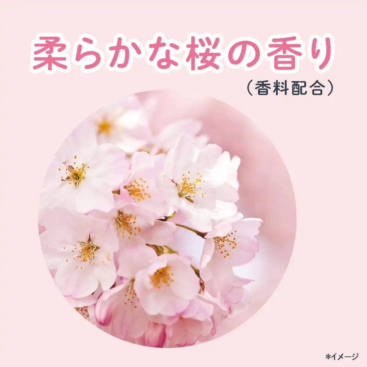 Clear Natural Gloss Scalp Shampoo Refill 300G Japan (1 Pack)