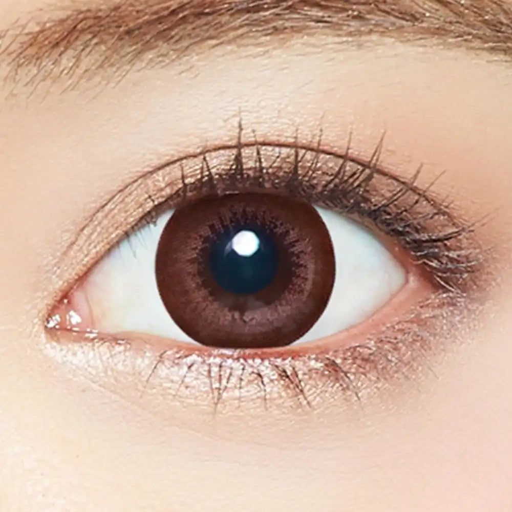 Ever Color 1Day Natural Brown -5.00 20Pcs Japan