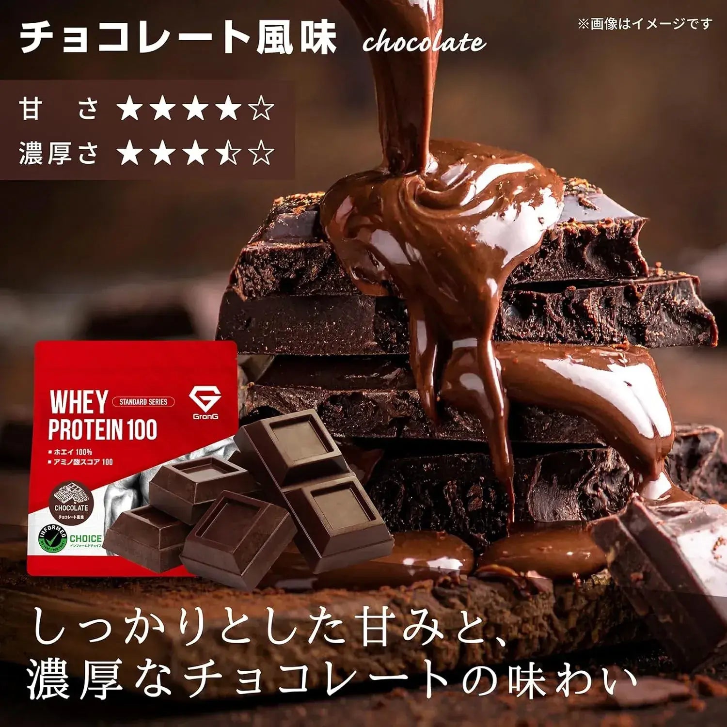 GronG Whey Protein Standard Chocolate Flavor with Vitamins