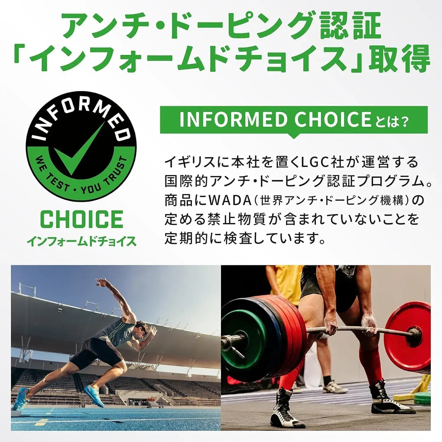 GronG Whey Protein Standard Chocolate Flavor with Vitamins