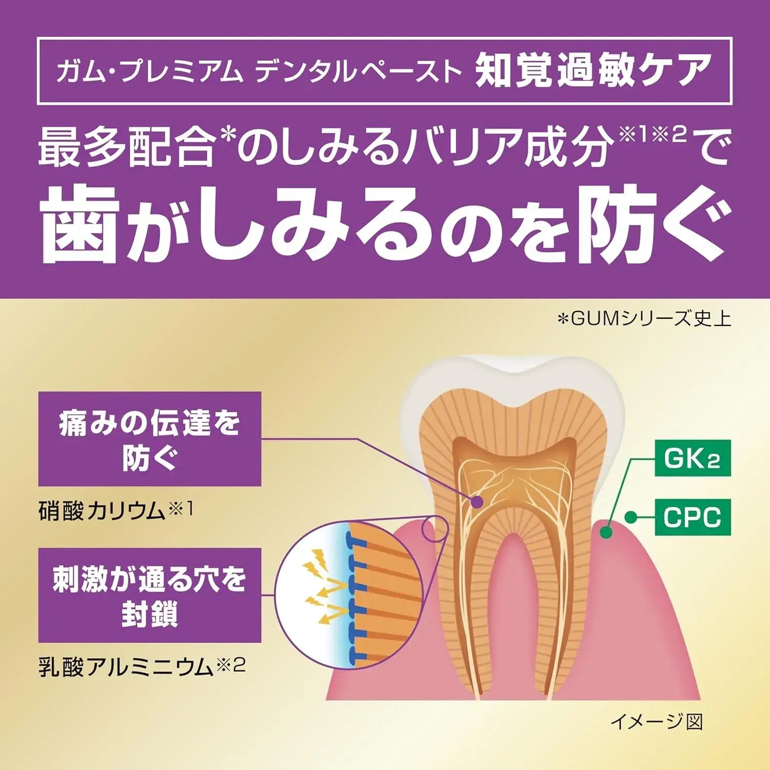 Gum Premium Quasi-Drug Sensory Care Toothpaste High Fluoride