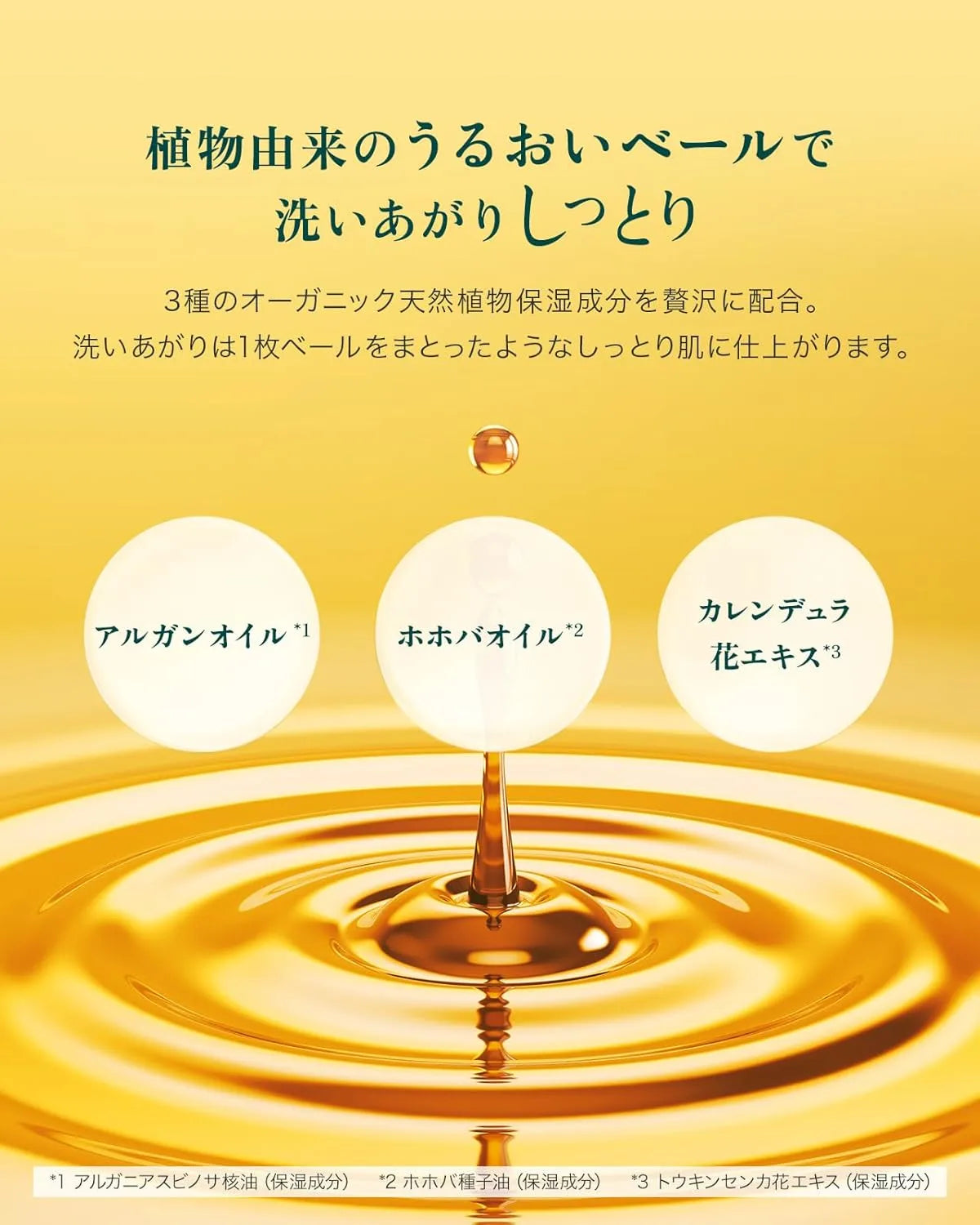 Kneipp Foam Body Wash Super Mint Scent Refreshing Cleanser 15.9 oz Kneipp