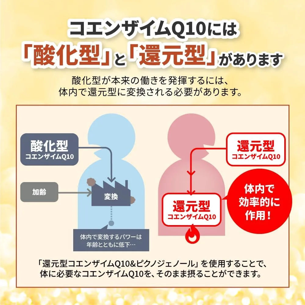 Kobayashi Pharmaceutical Coenzyme Q10 and Pinogenol Supplement