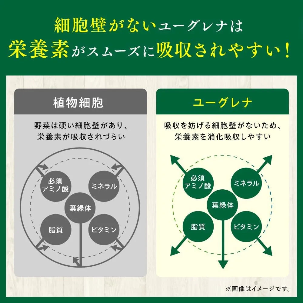 Kobayashi Pharmaceutical Euglena Supplement for Balanced Nutrition 120 Tablets