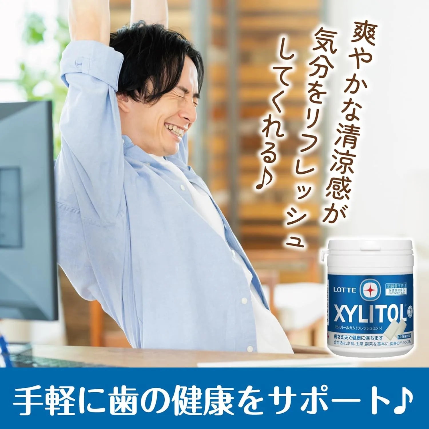 Lotte Xylitol Gum Fresh Mint Chewing Gum