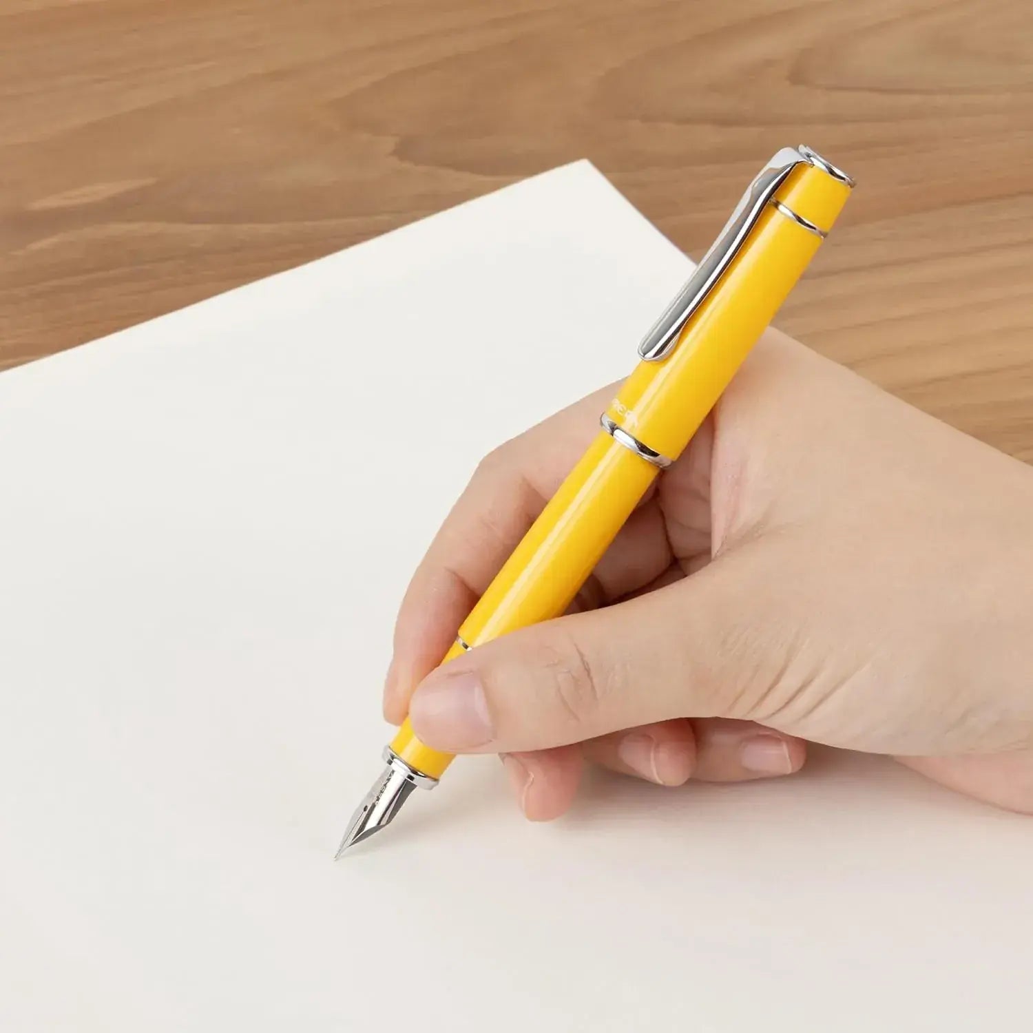Pilot Fountain Pen Prera Fine Tip Fountain Pen