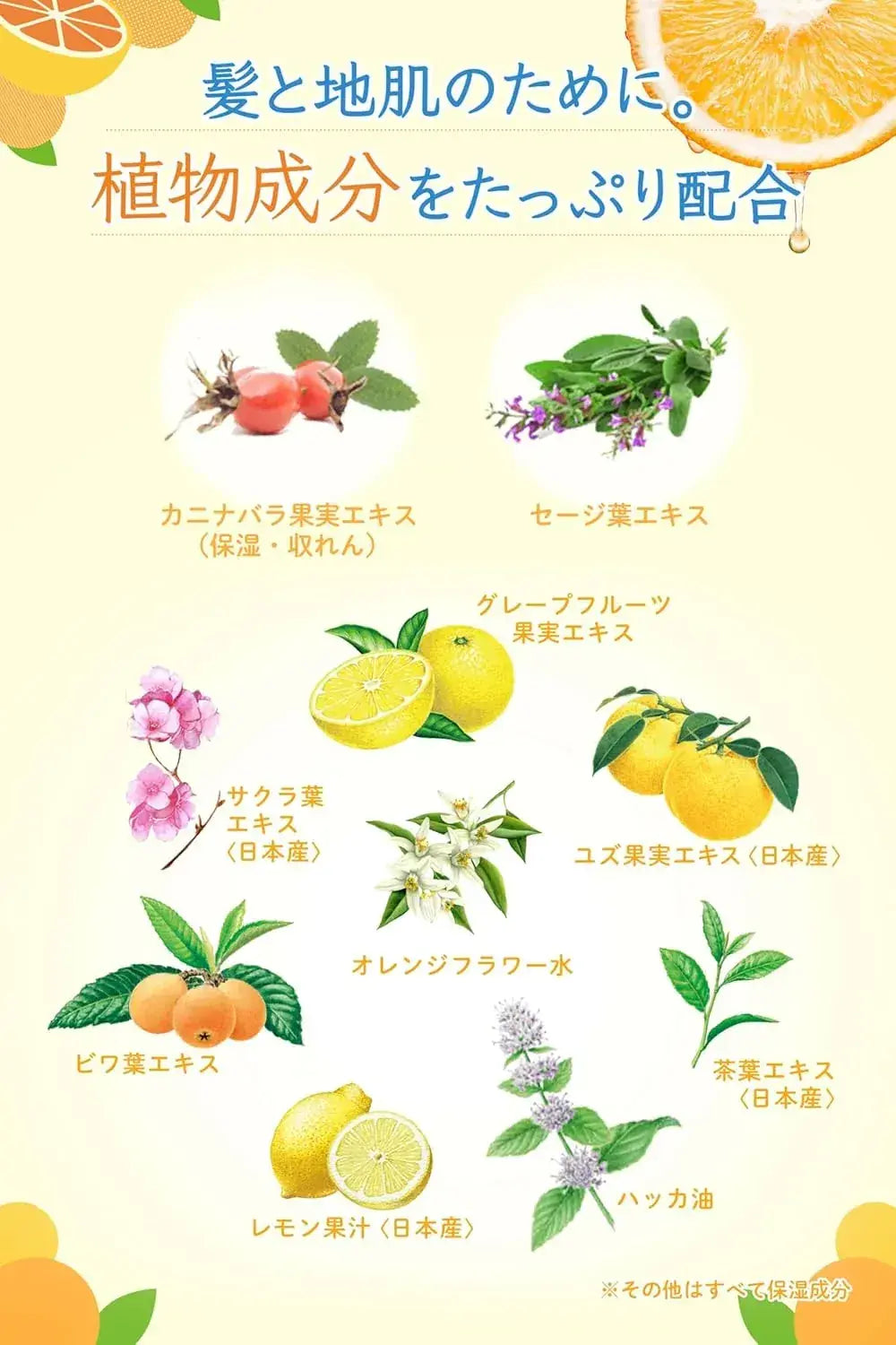 Plant-Based Orange Scalp Cleanser Sebum Control Weak Acid 130g