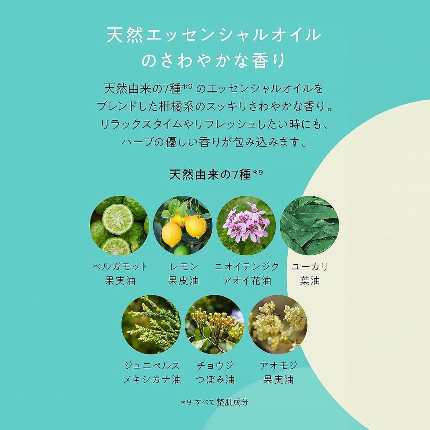 Pureal Pack Clear Essence Mask Large Capacity 28 Pieces Sheet Mask Pureal