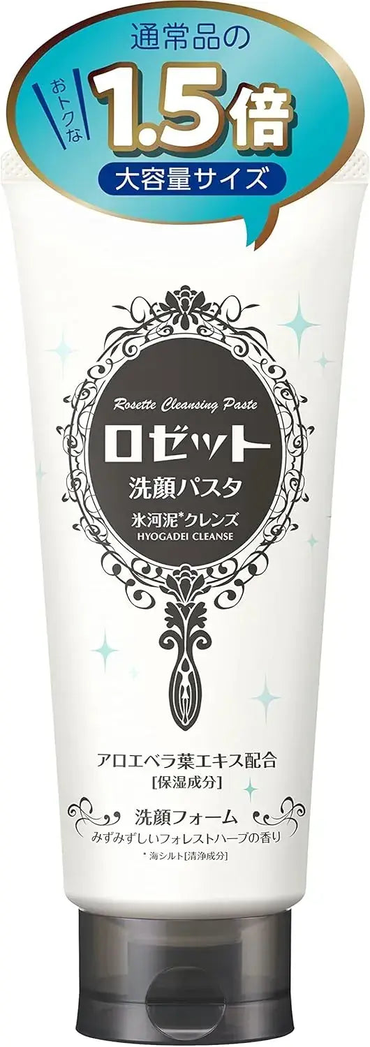 Rozetto Glacier Mud Facial Cleanser for Oily Skin 180g