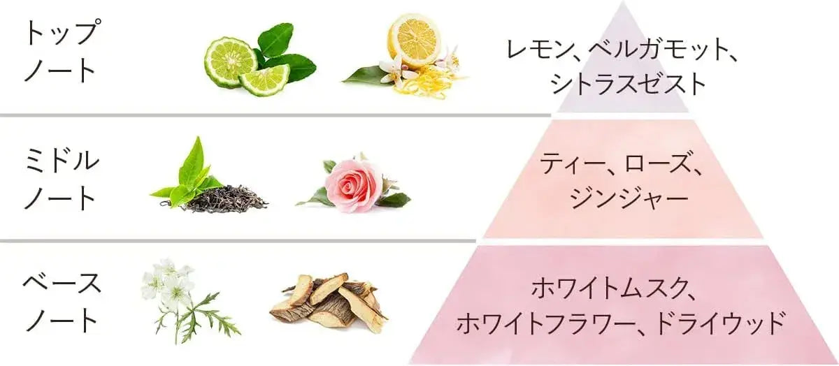Sabon Low Shampoo Delicate Jasmine Hair Care