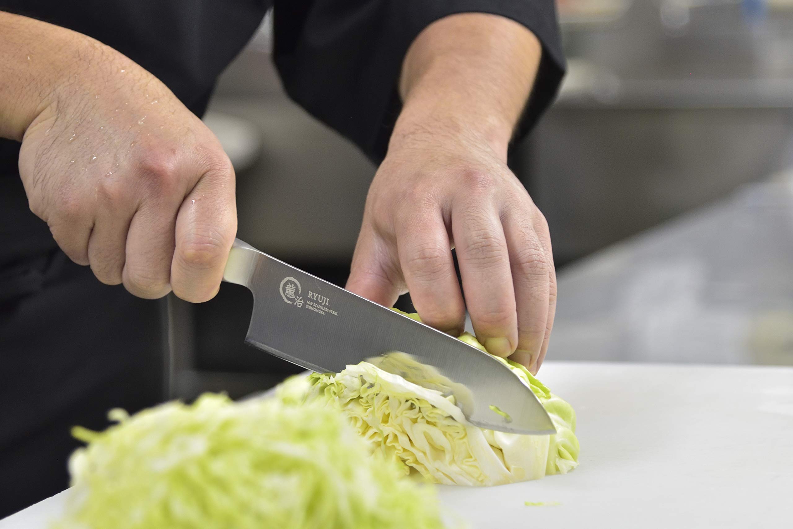 Ryuji Molybdenum Steel Santoku Knife