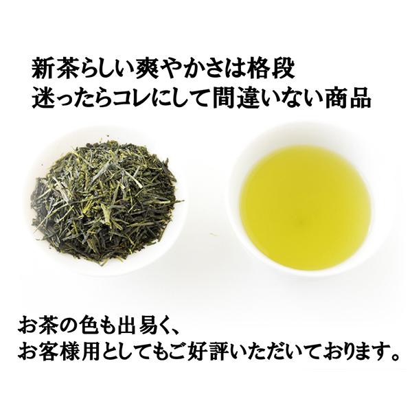 Ye Tong Shizuoka Yabukita 2023 Neuer Tee 100g Flasche Hagiri Ernte