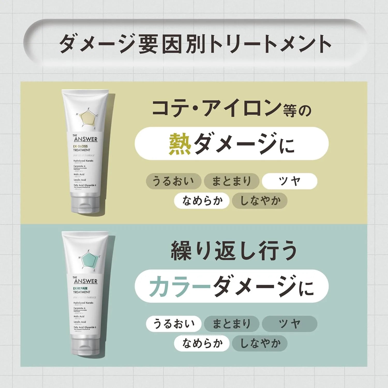 The Answer EX Moist Treatment Daily Damage Repair 7.8 oz