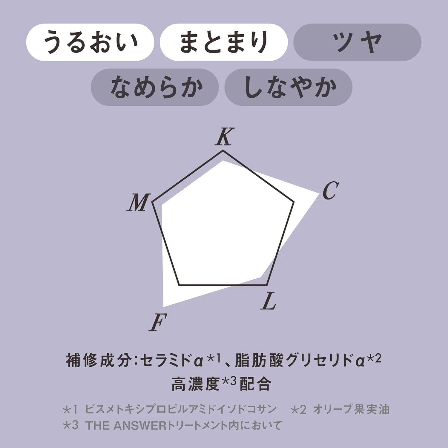 The Answer EX Moist Treatment Daily Damage Repair 7.8 oz