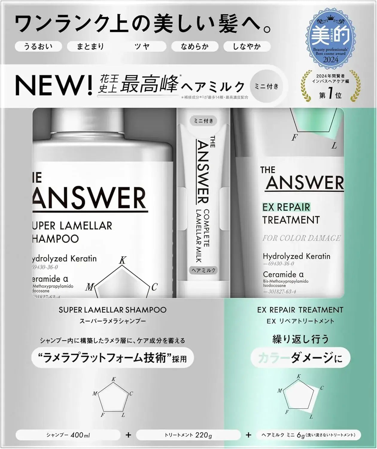 The Answer EX Moist Treatment for Daily Damage Moisture Manageability - Repair - 4901301460110