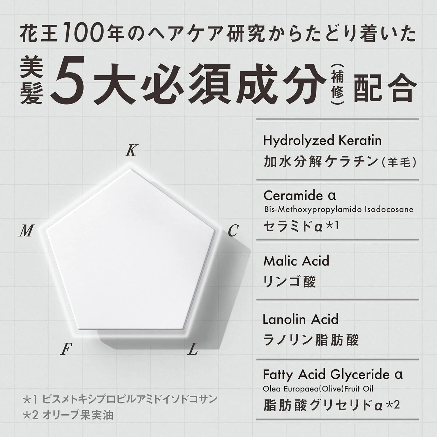 The Answer Kao THE ANSWER Super Lamella Shampoo Refill