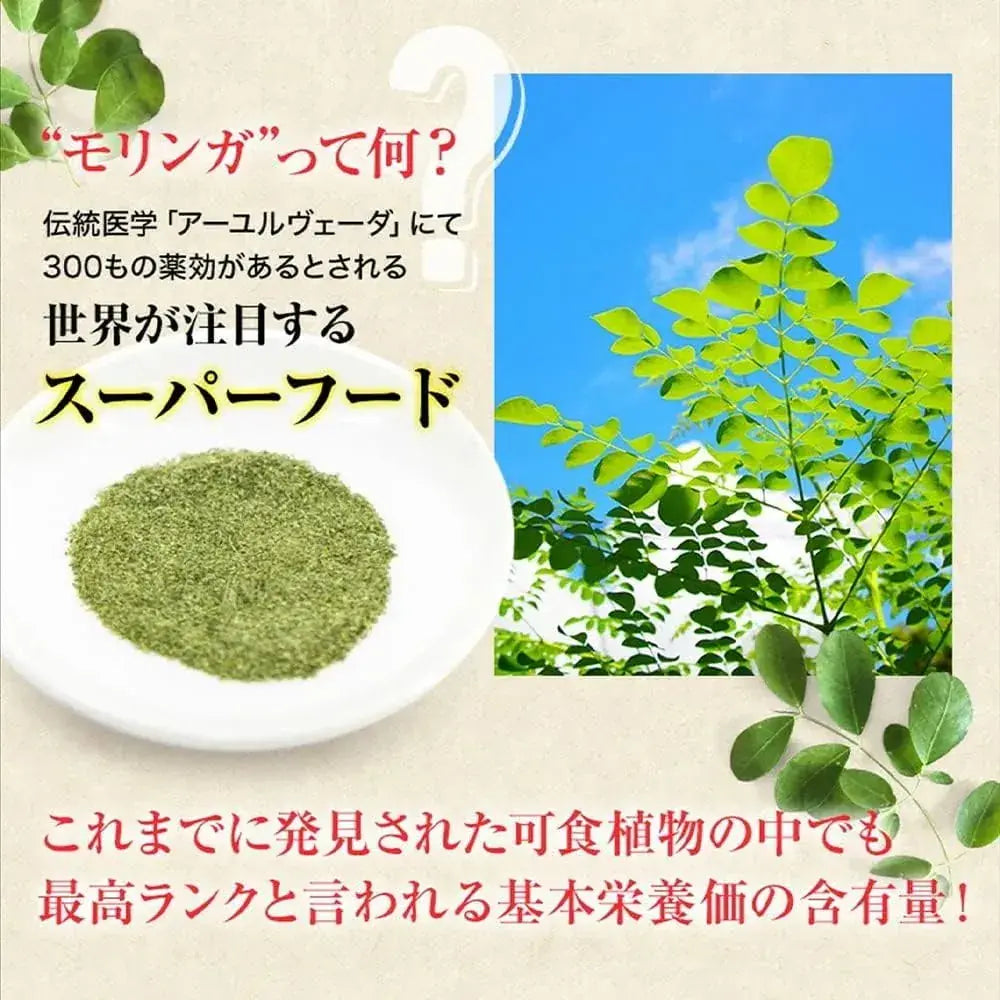 Yae Nadeshiko Moringa Tea Herbal Tea Bags Non Caffeine Health Tea