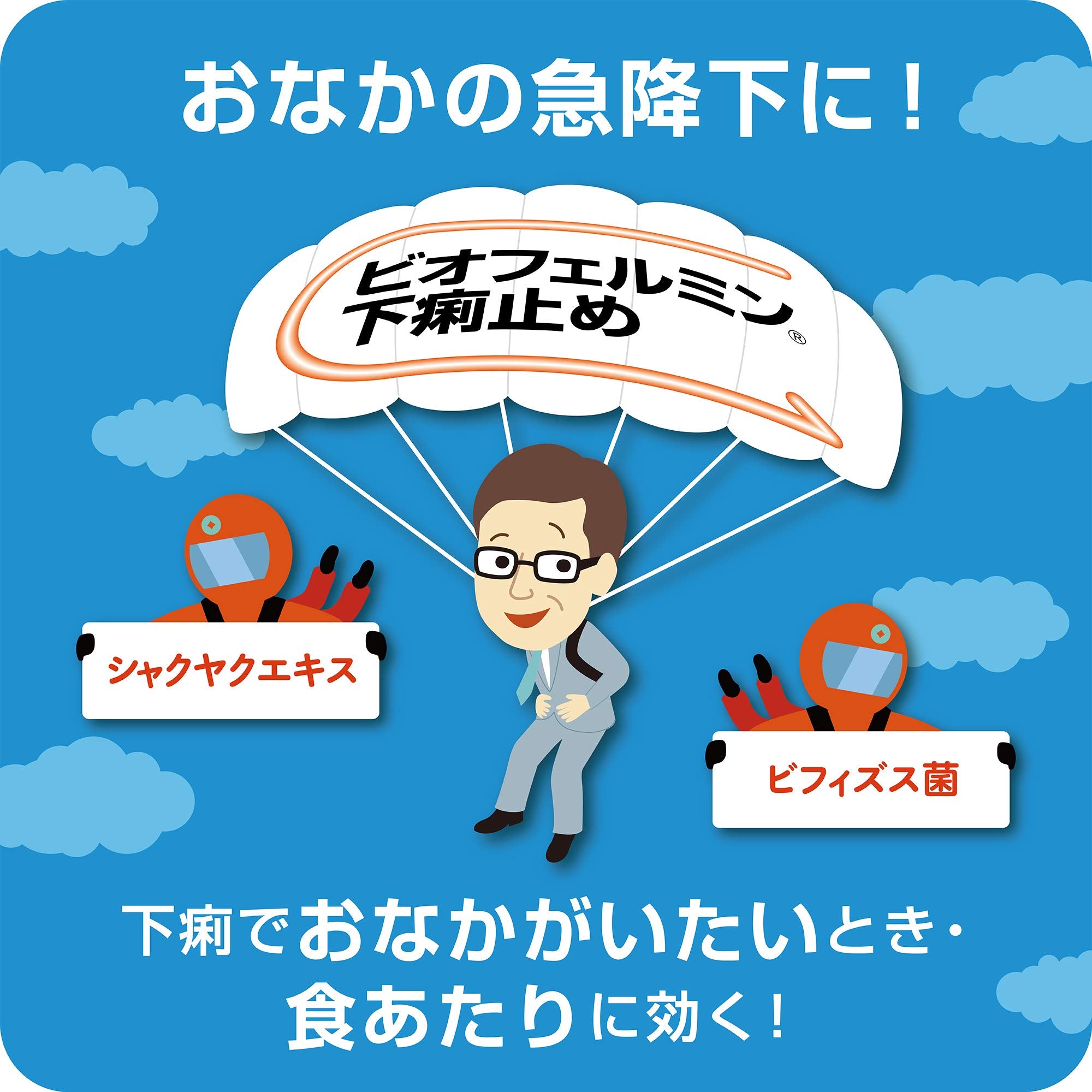 Biofermin Antidiarrheal 2 Drugs 30 Tablets Japan