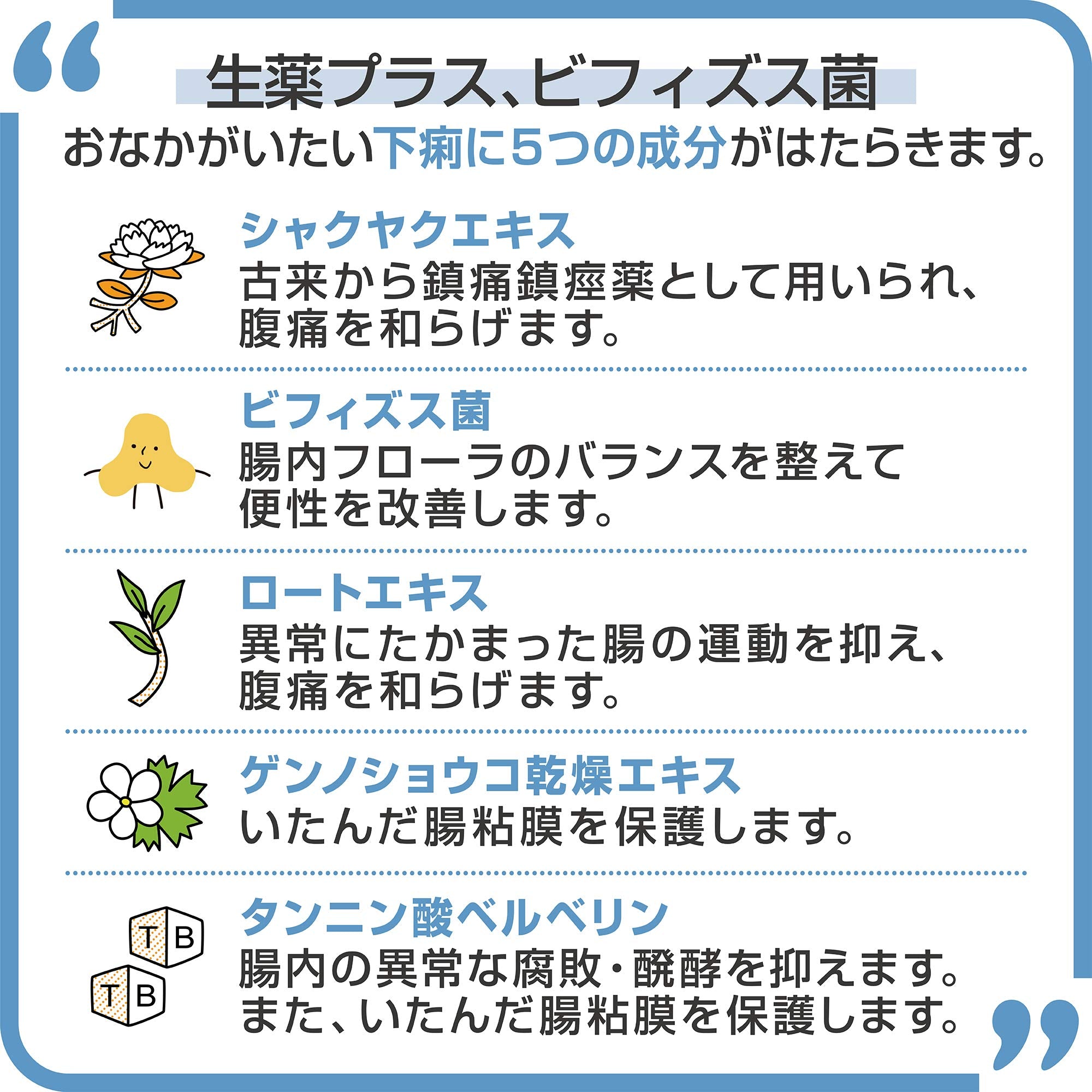 Biofermin Antidiarrheal 2 Drugs 30 Tablets Japan