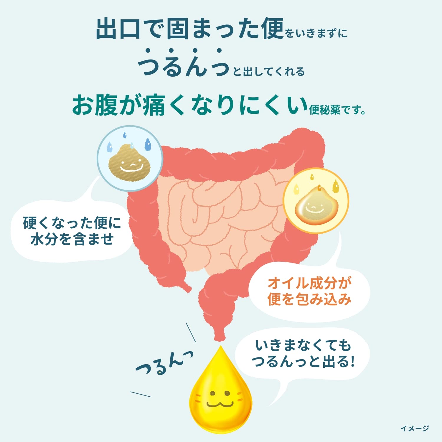 Oildell Japan Kobayashi Pharmaceutical Oil Dell 24 Capsules (2 Drugs)