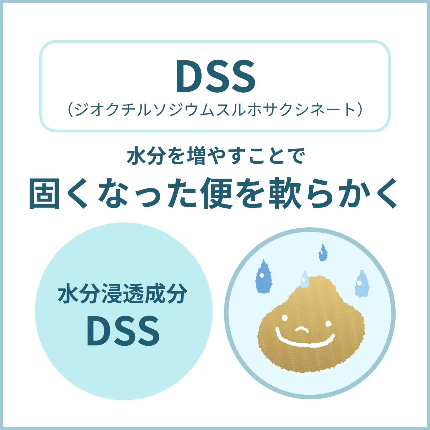 Oildell Japan Kobayashi Pharmaceutical Oil Dell 24 Capsules (2 Drugs)