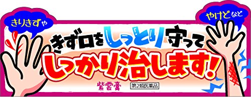 Kracie Kampo Shiunko 30G - 2 Drugs - Japan