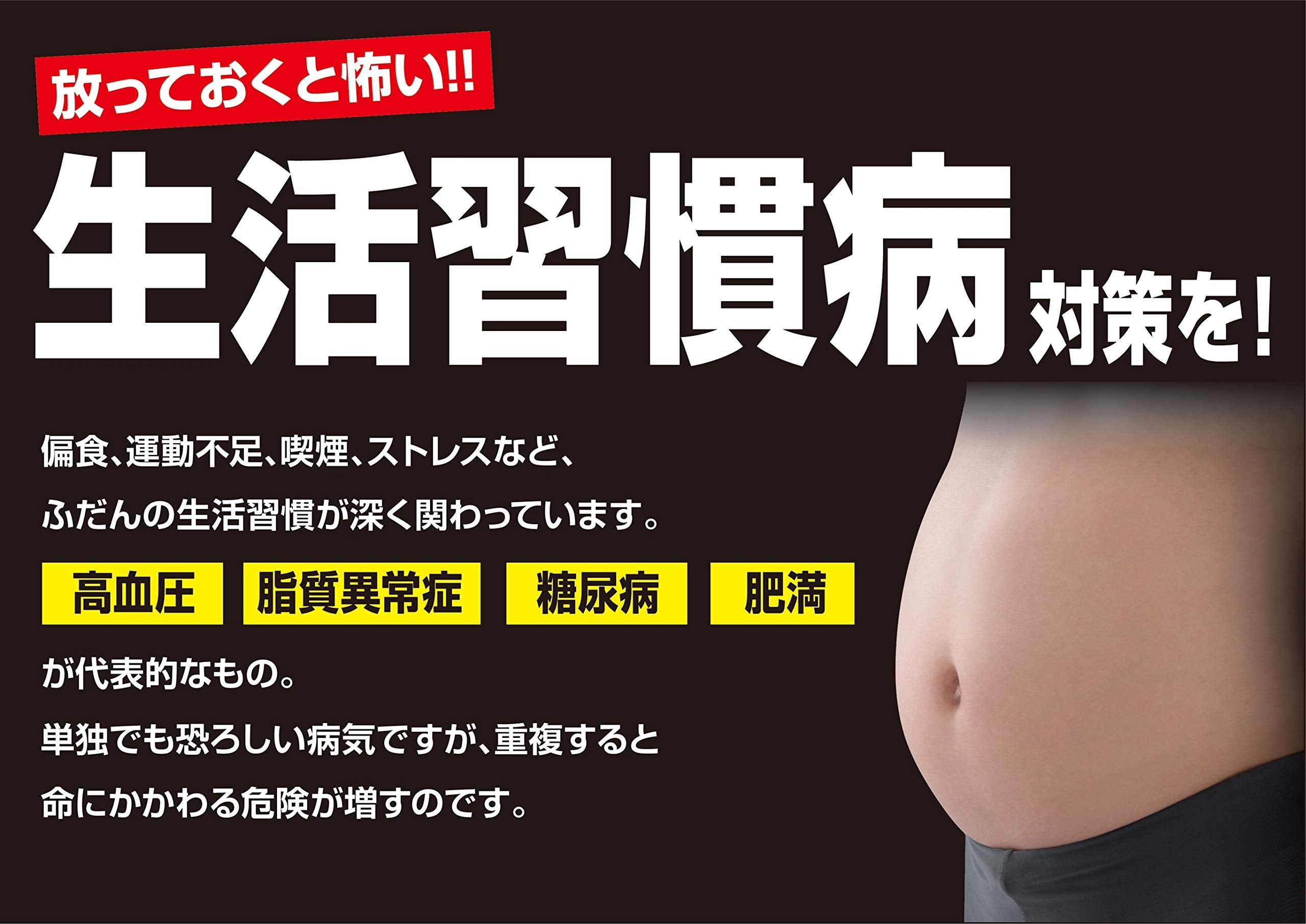 Naishitol Ga 336 Tablets - Japan Self-Medication Tax System - 2 Drugs