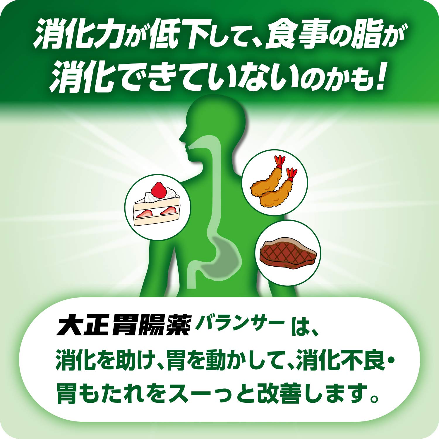 Taisho Gastrointestinal Medicine Balancer 12 Packs - 2 Drug Japan