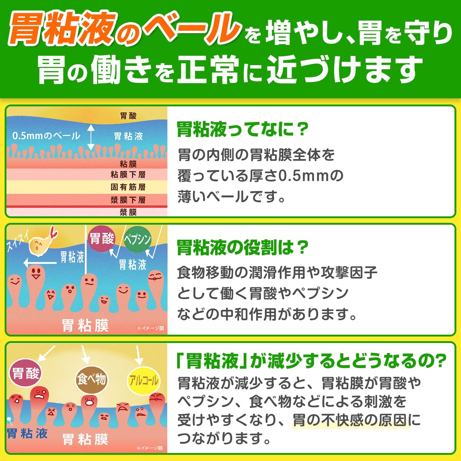 Cerbère Selbère Stomach Premium Fine Granules 12 Packs Japan 2Nd-Class Otc Drug