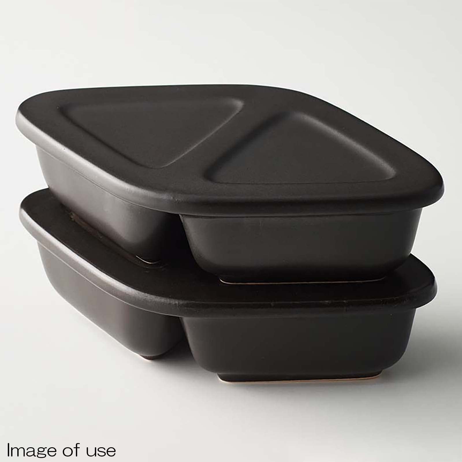 Santo Japan Triangular Bread Baking Device 20X13Cm Microwave Oven Compatible 18642