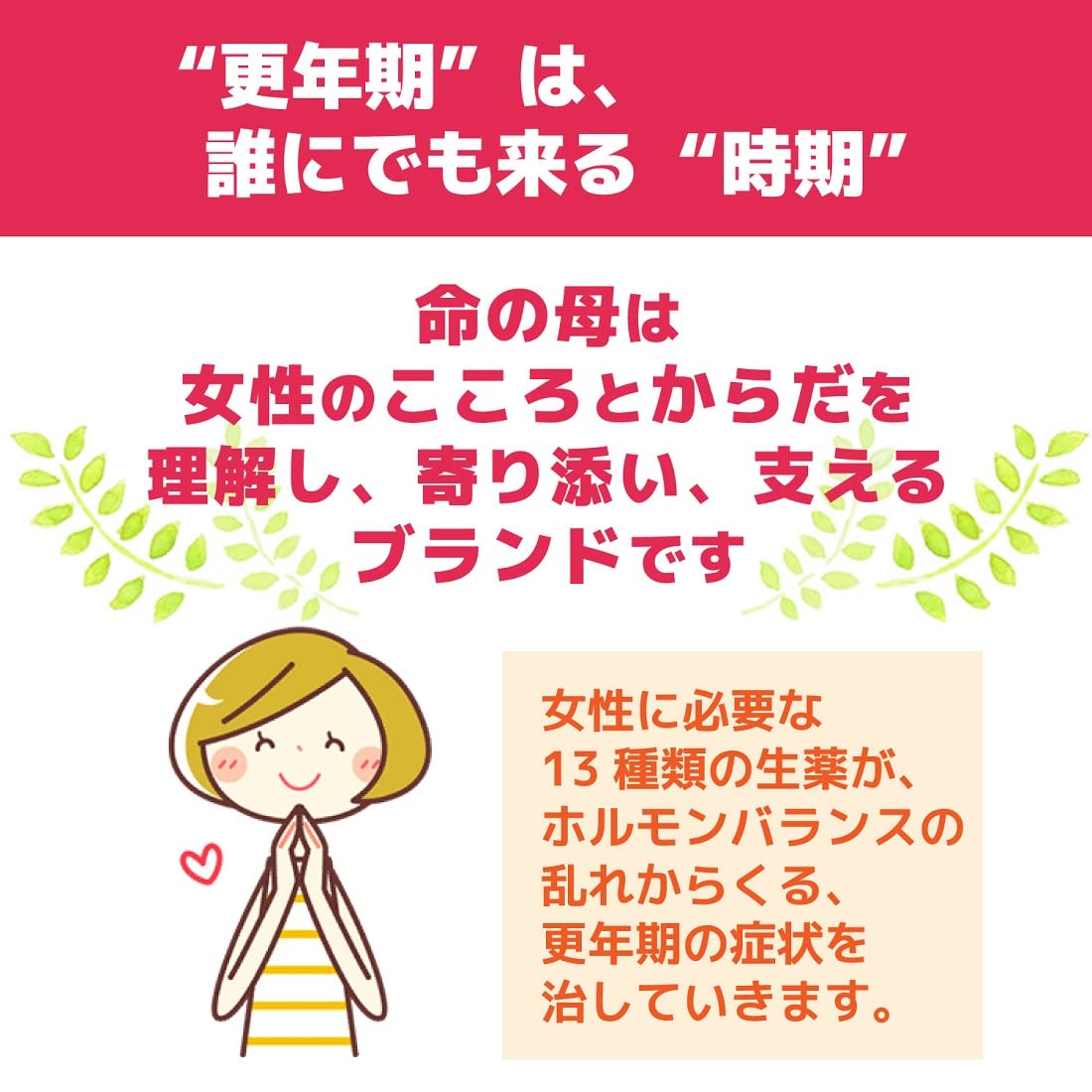 Kobayashi Inochi No Haha a Women Health and Medicine 420 Tablets