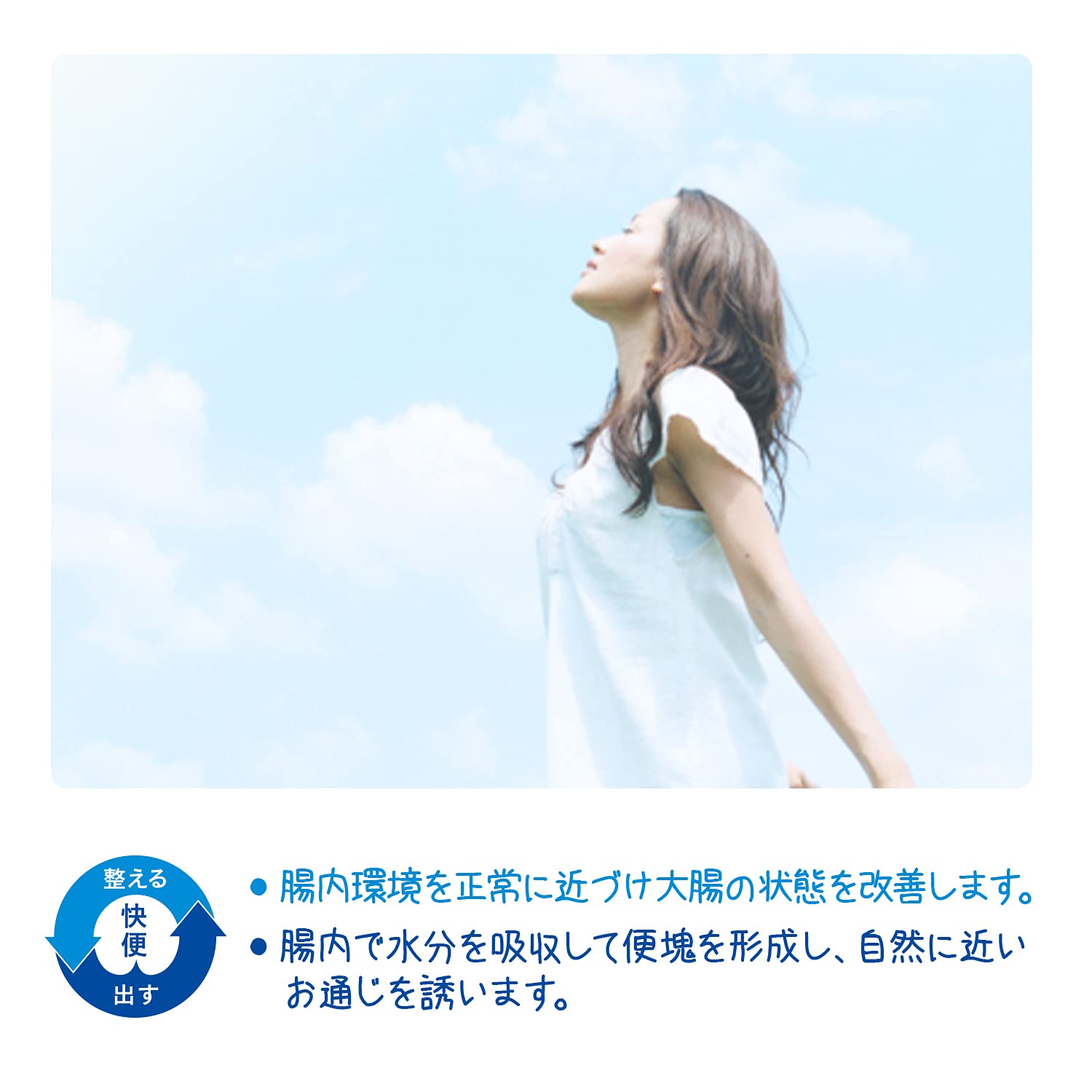 Sato Pharmaceutical Japan Designated 2 Drugs Satox Bio Five 3G X 20