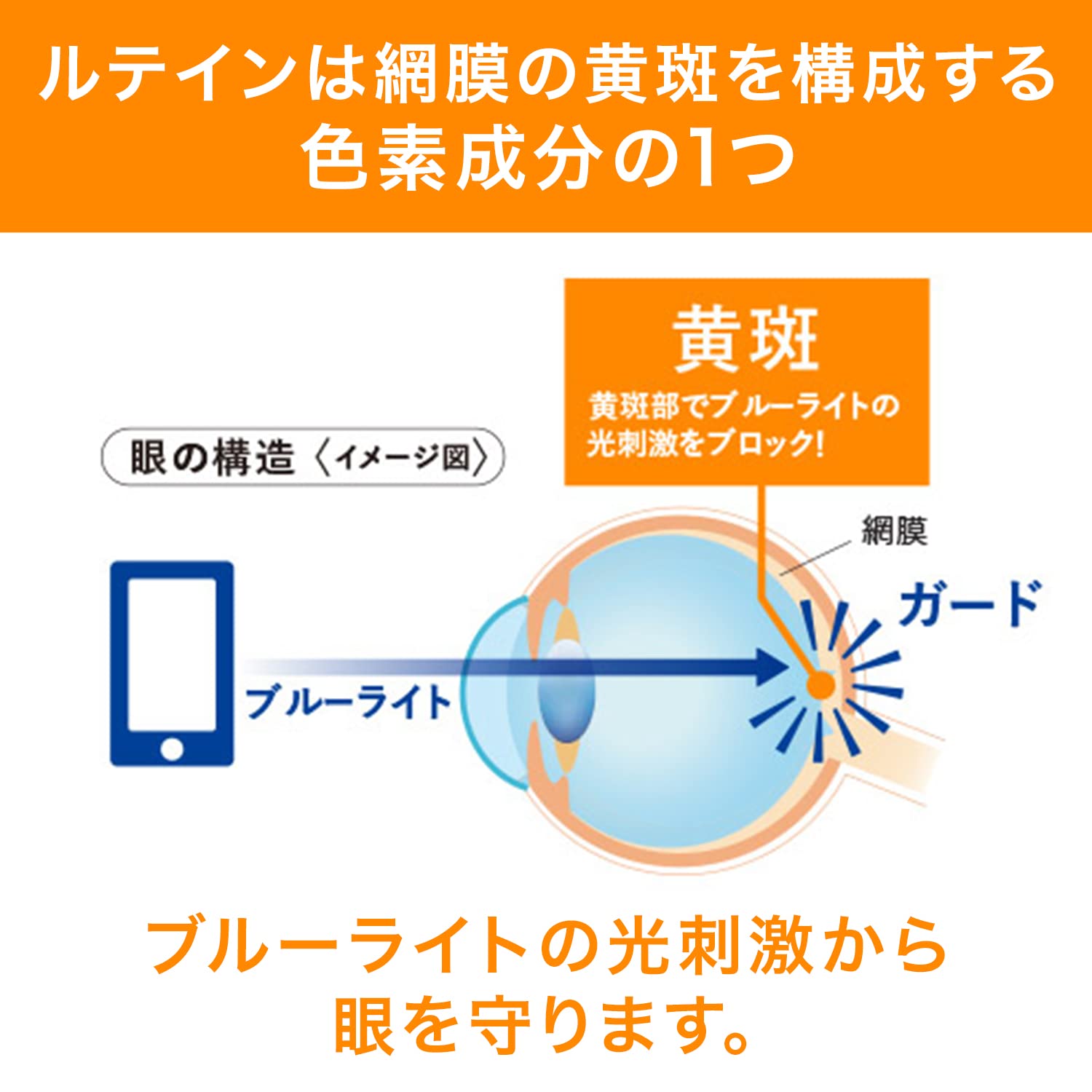 Dhc Lutein Light Measures For Protection From Computer/Smartphone 30-Day Supply - Japanese Eye Care