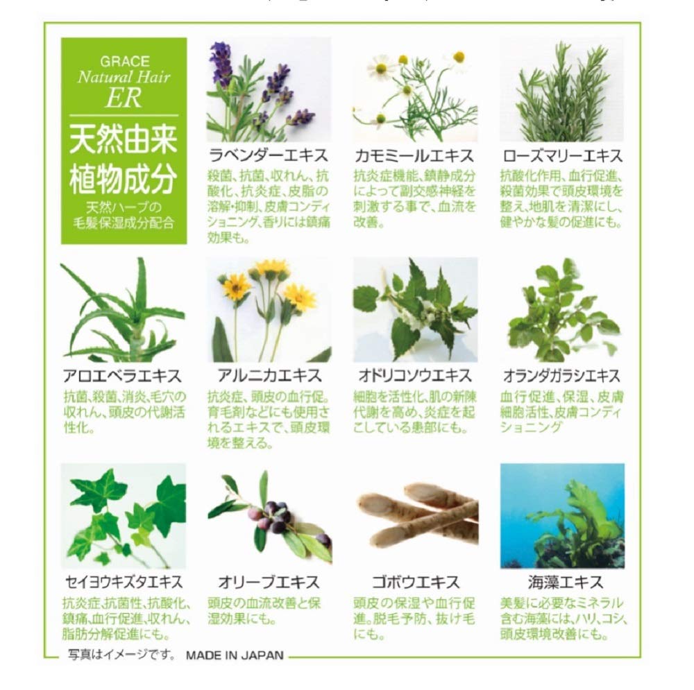 Grace Japan Natural Er Treatment Moist 310G