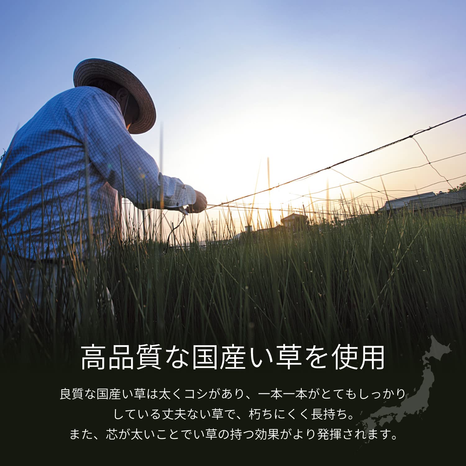 Hagiwara Igusa Natural & Black From Japan - Hagihara