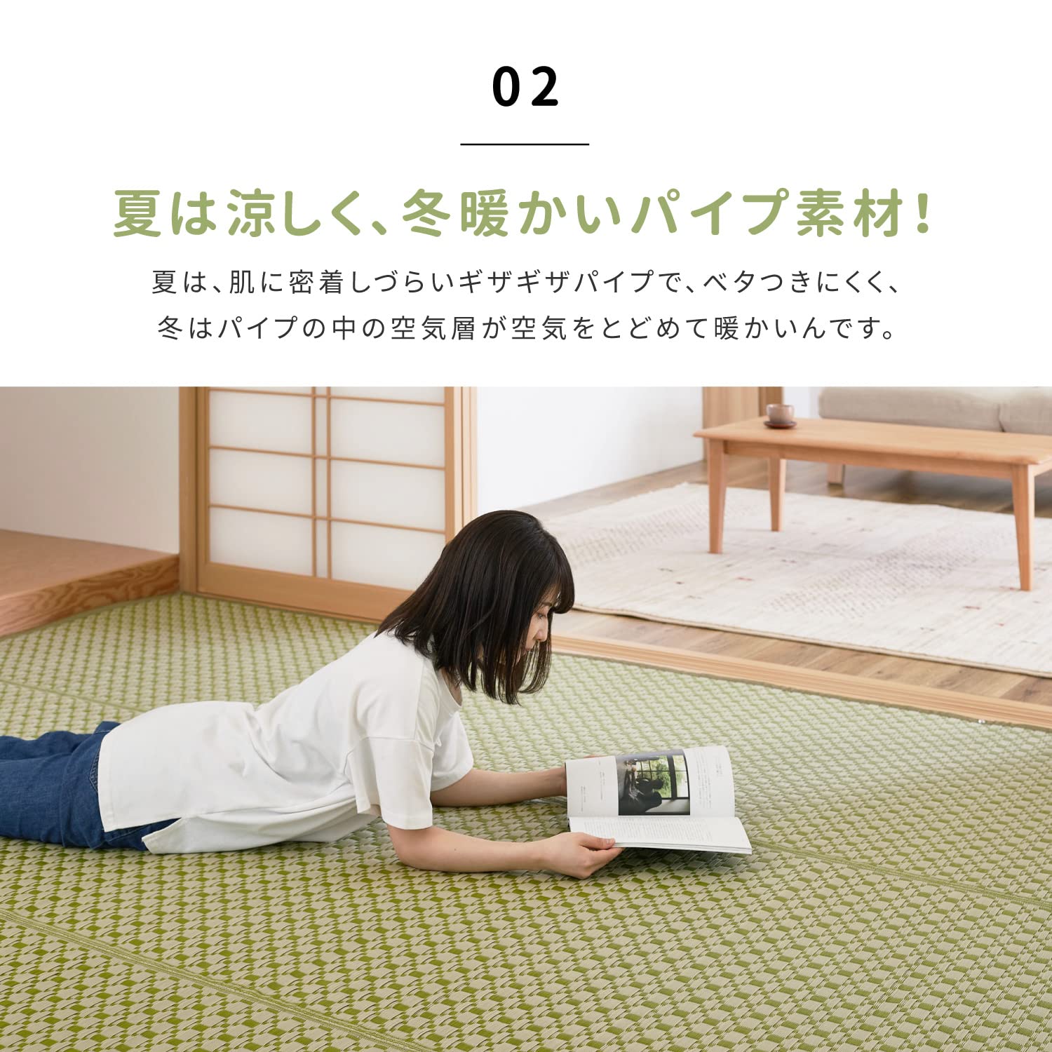 Hagihara Brown Edoma Lewis Flower Rug Japanese Modern Pet Protection 2 Tatami Mats 174X174Cm