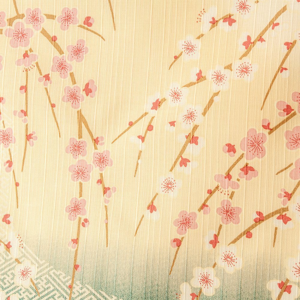 Hama Pattern Furoshiki 50Cm Saaya-Shaped Weeping Plum Eme Blue From Japan