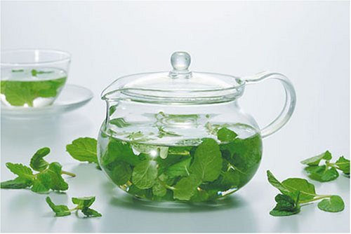 Hario Chacha Kyusu Maru Tea Pot Japan 450Ml CHJMN-45T